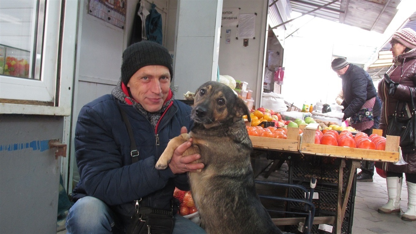«Мурчик любит малосолочку, а Джуля боится охрану» – как горожане заботятся о бездомных животных