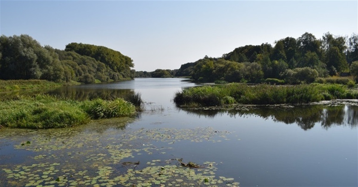 Купатися на пляжі в Новограді не варто: результати дослідження води в Случі