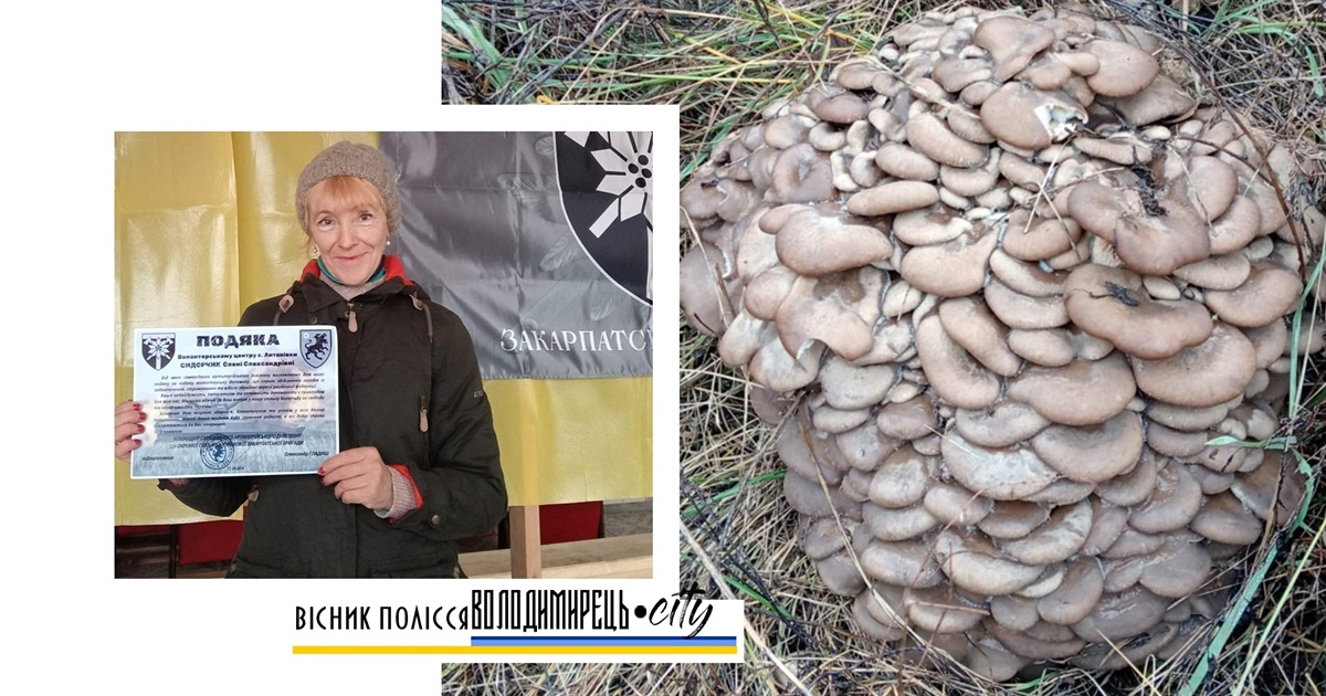 Різдвяних грибів назбирала жителька Антонівки