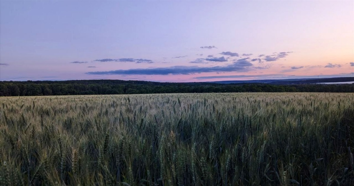 Перший місяць літа піде від нас із дощиком... Прогноз погоди на 28-30 червня