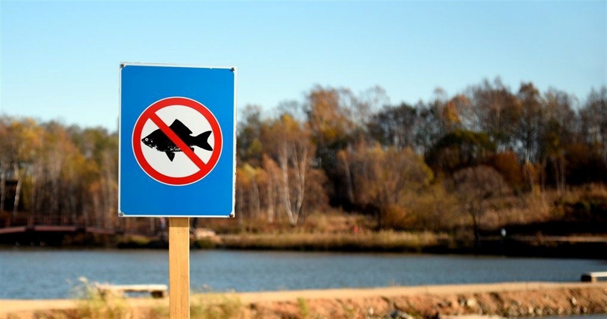 На Житомирщині затвердили перелік зимувальних ям: де заборонено ловити рибу до весни 2026