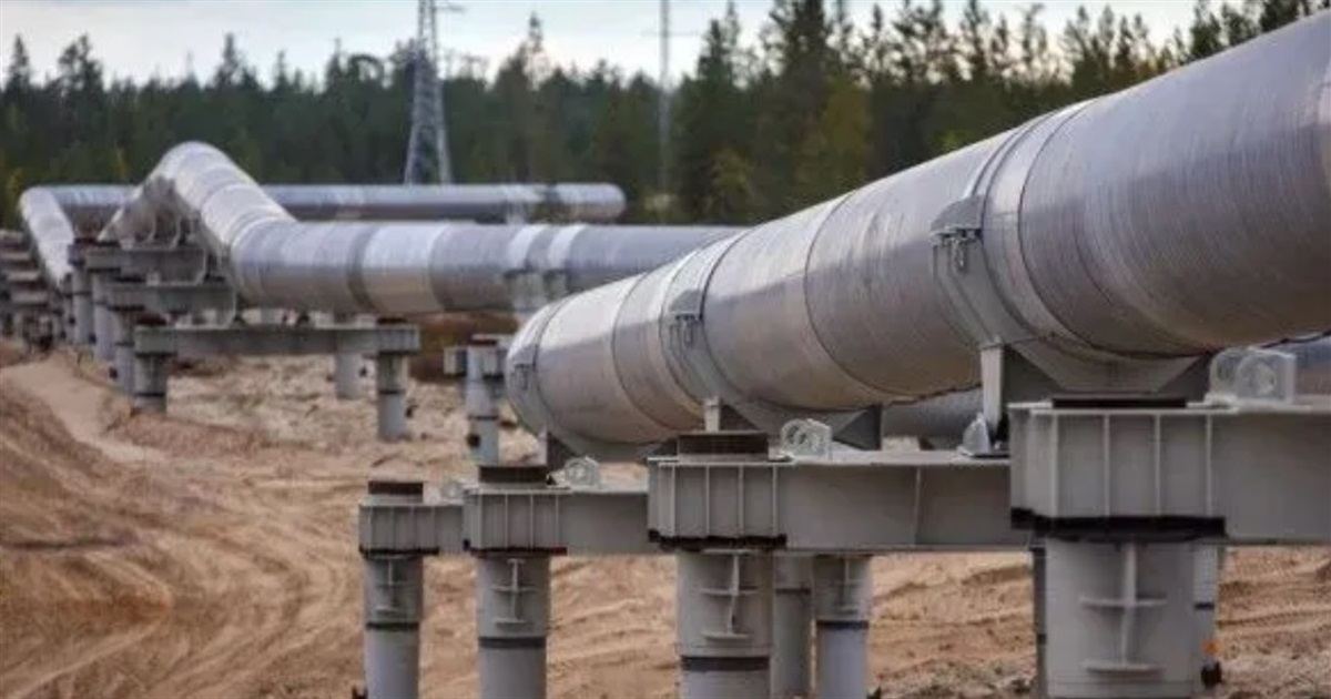 Звягельський суд виніс вирок двом чоловікам за крадіжку нафти на суму понад 350 тисяч гривень