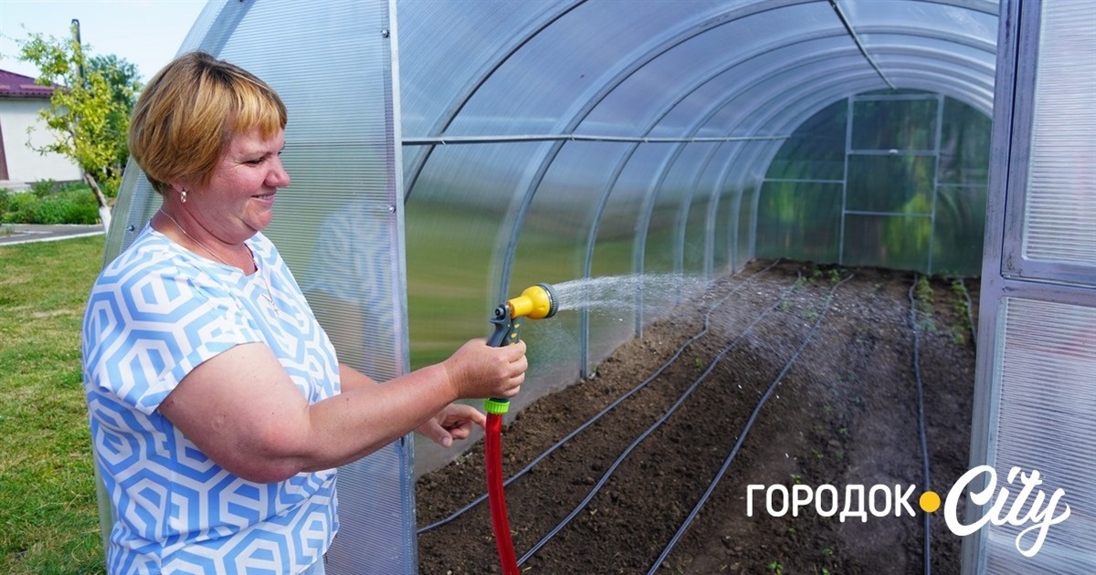 У стаціонарне відділення «Доброта» передали теплицю: городоччани вже вирощують овочі та зелень