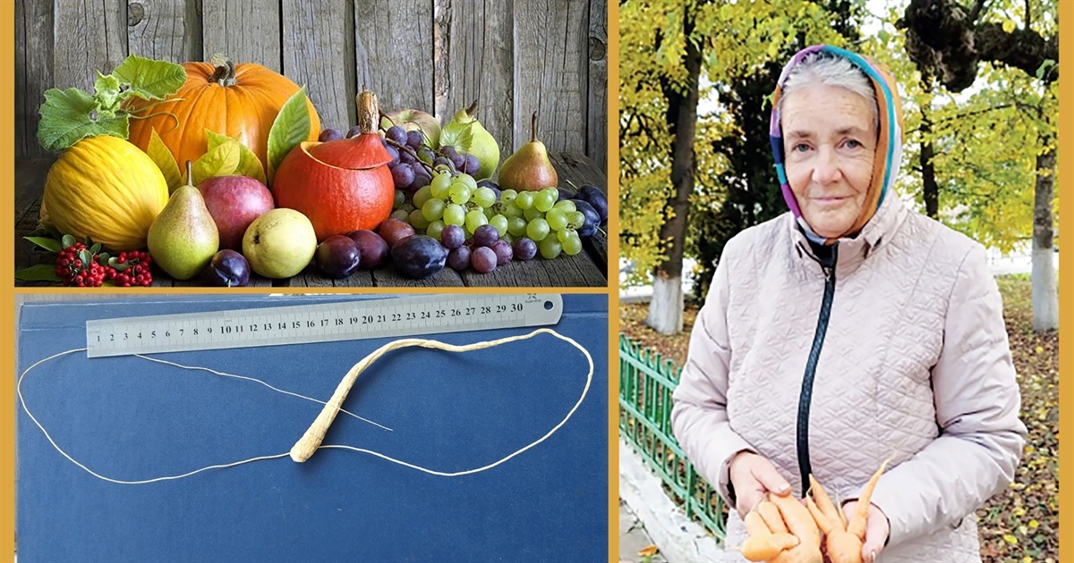 Чортків'янка Валентина Славінська: «Природа жартує, працю винагороджує»