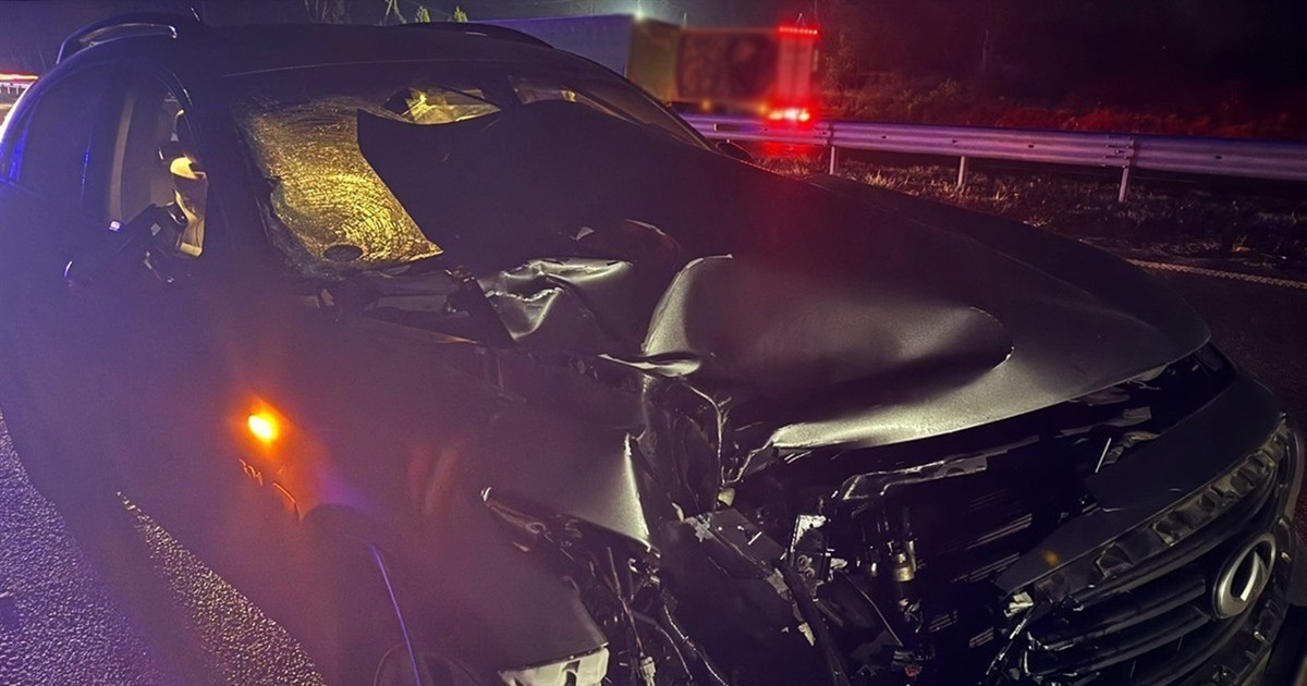 Допоможіть встановити особу жінки: у ДТП поруч зі Звягелем загинула пішохідка