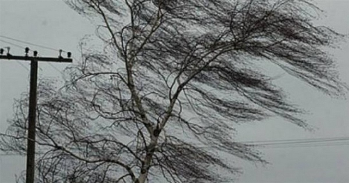 В Ізмаїлі готуються до негоди: на 17 лютого прогнозують погіршення погодних умов