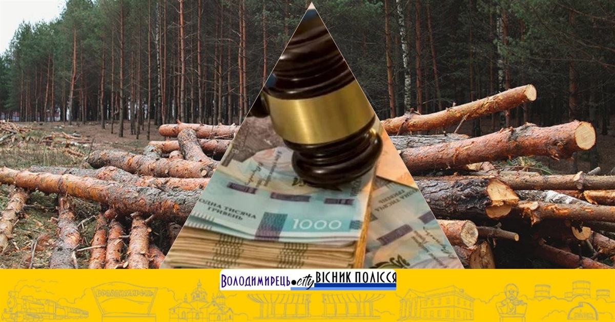 За незаконне вирубування лісу Дубровицька громада відшкодує державі майже 5 млн грн збитків
