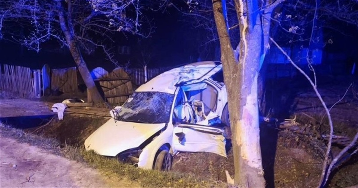 Смертельна ДТП: нетверезий водій не впорався з керуванням, з’їхав у кювет та зіткнувся із деревом