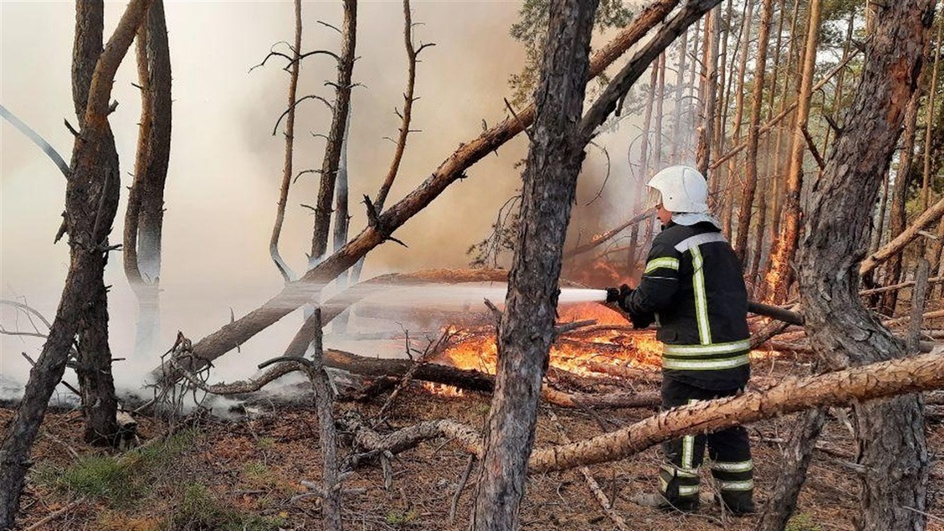Відповідальність за підпал трави: поліцейські нагадали про штрафи для правопорушників