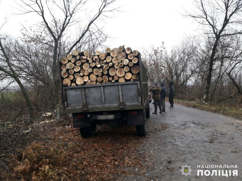 Поліцейські припинили незаконну «чистку лісу»