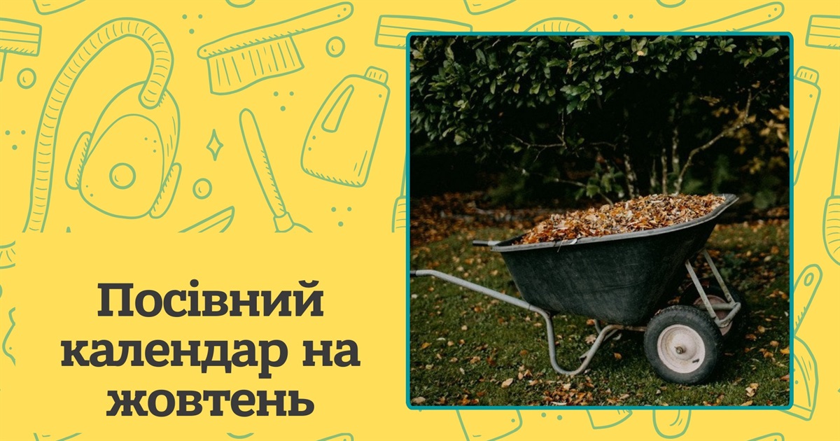 Посівний календар на жовтень 2025 року: коли працювати на городі