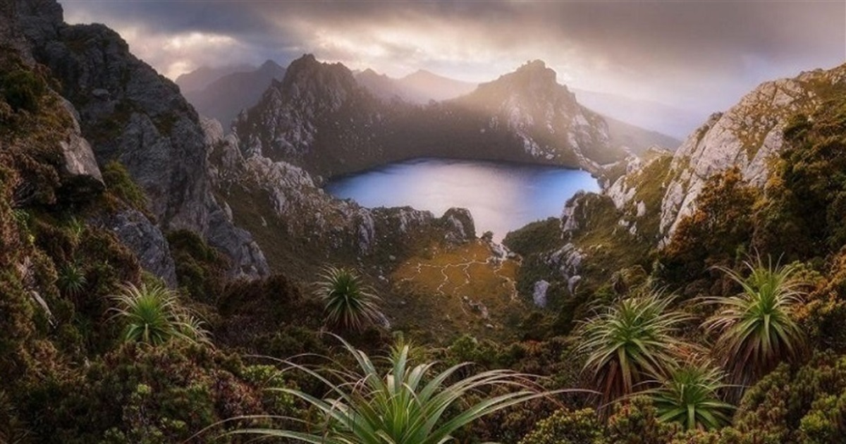 Туристи поїхали у Тасманію до пам'ятки, якої не існує. Її згенерував ШІ — деталі