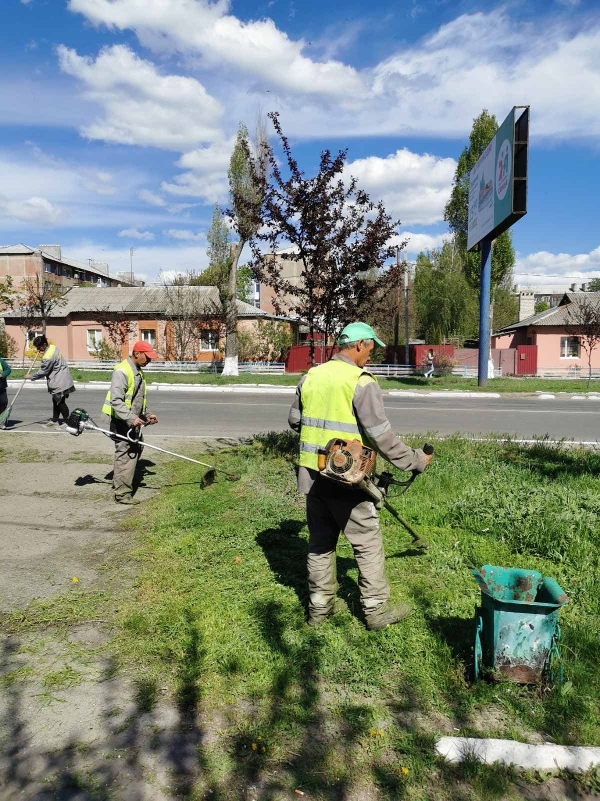У місті розпочався сезонний покіс трави