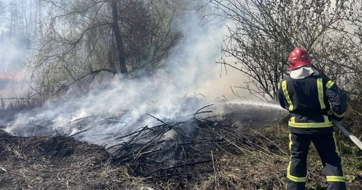 У Звягельському районі знову горить суха трава: вогонь ледь не дістався до ферми