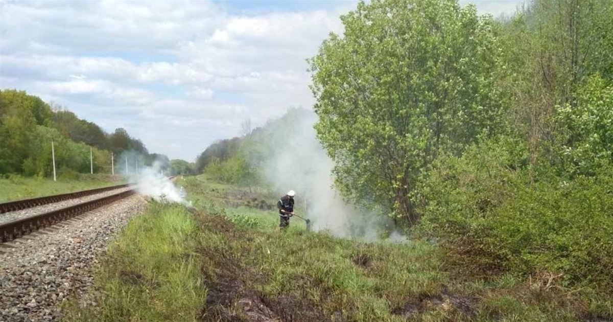 Впродовж минулої доби рятувальники ліквідували дві пожежі сухої трави на Звягельщині