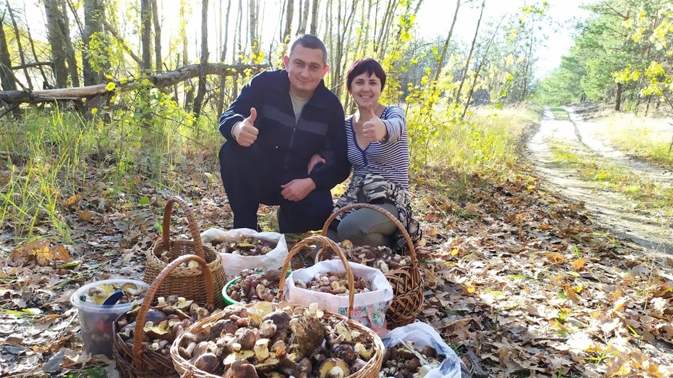 Такие деньки ждём целый год, а иногда и дольше, но результат того стоит! Спасибо, Ямпольский лес!
