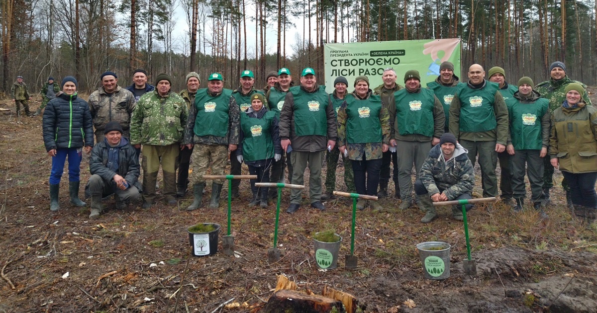 Зелена армія Полісся - лісівники Вараського району садять сосну і дуби. Це акція «Зелена Країна»