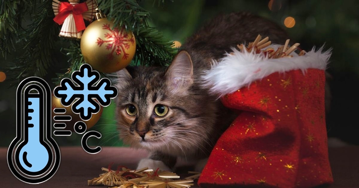 Останні дні року будуть сніжними: прогноз погоди від синоптиків