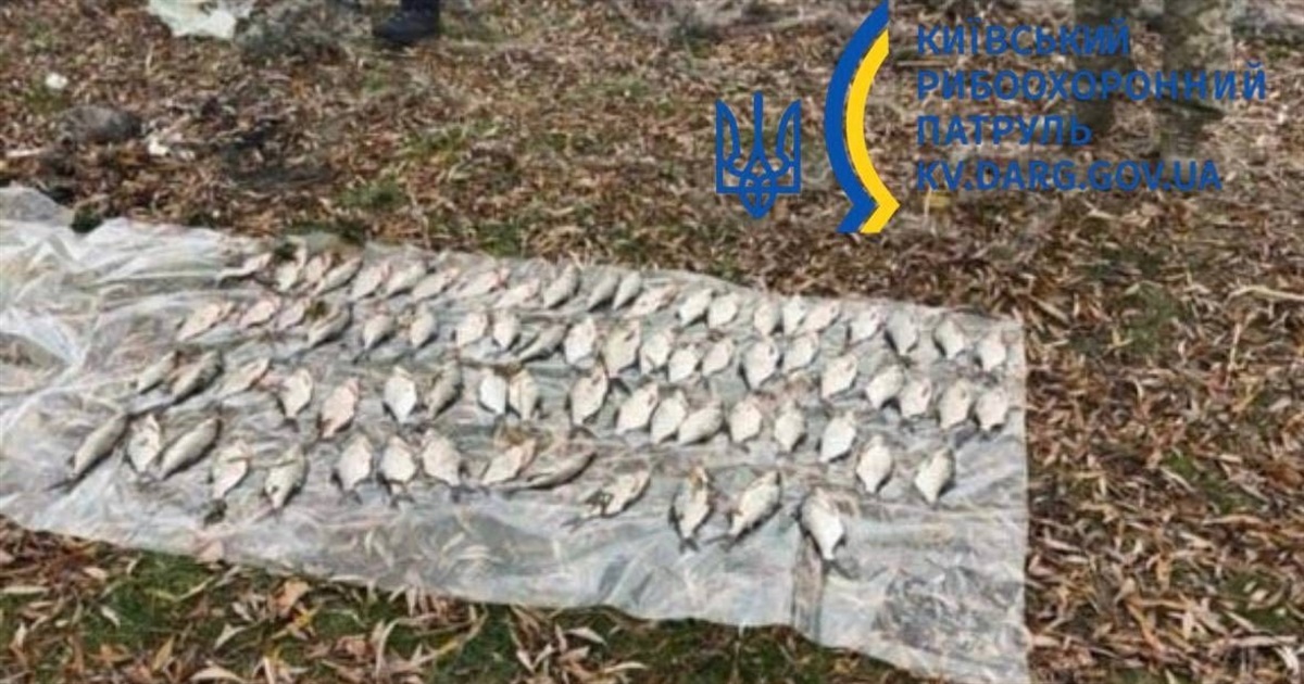 На Переяславщині чоловік незаконно ловив рибу сітками, завдавши збитків на 117 300 грн