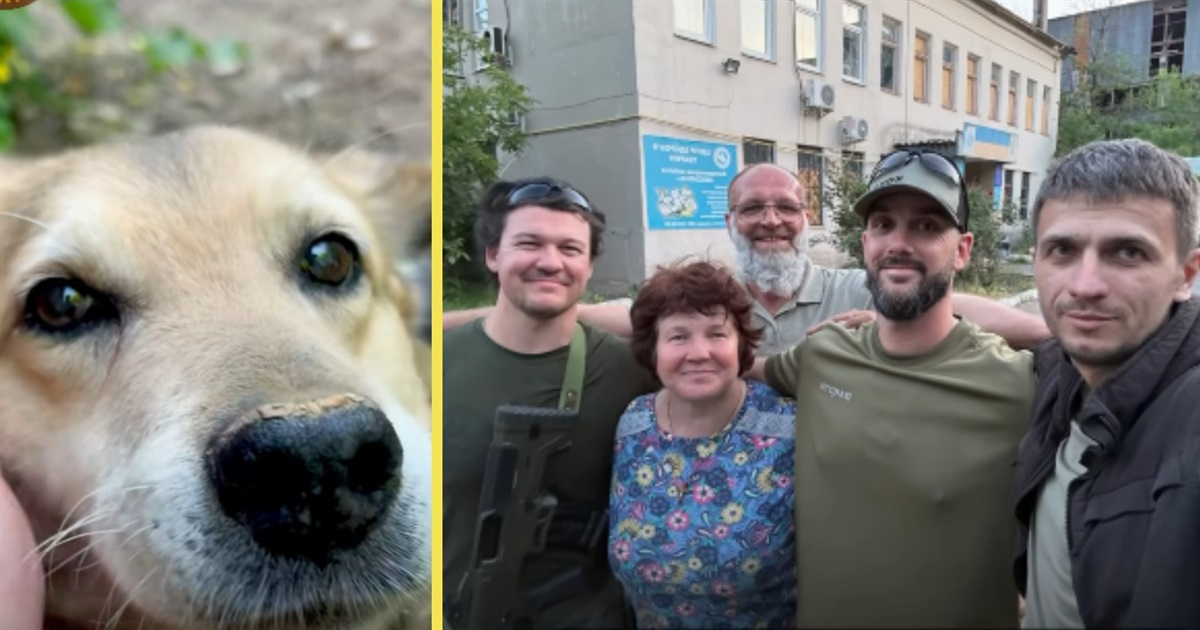 З Дружківки під дронами вивезли 28 тварин і волонтерку. Вона щодня ходила їх годувати