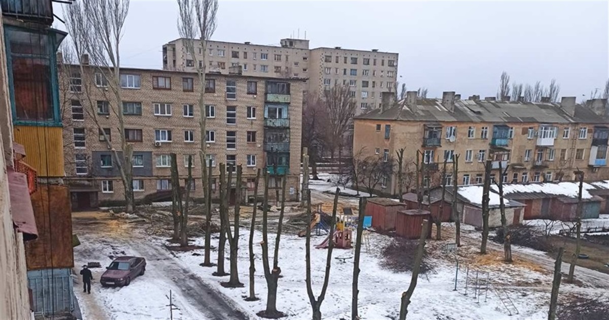 Почему обрезали деревья в Попасной во дворе дома на улице Суворова