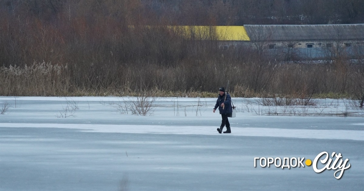 Чому у Городку людей просять не рибалити на ставку, що в мікрорайоні «Старий цукровий завод»