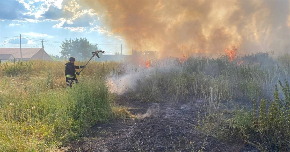 На Переяславщині через обрив електролінії спалахнула пожежа: вогонь охопив 0,8 гектара сухостою