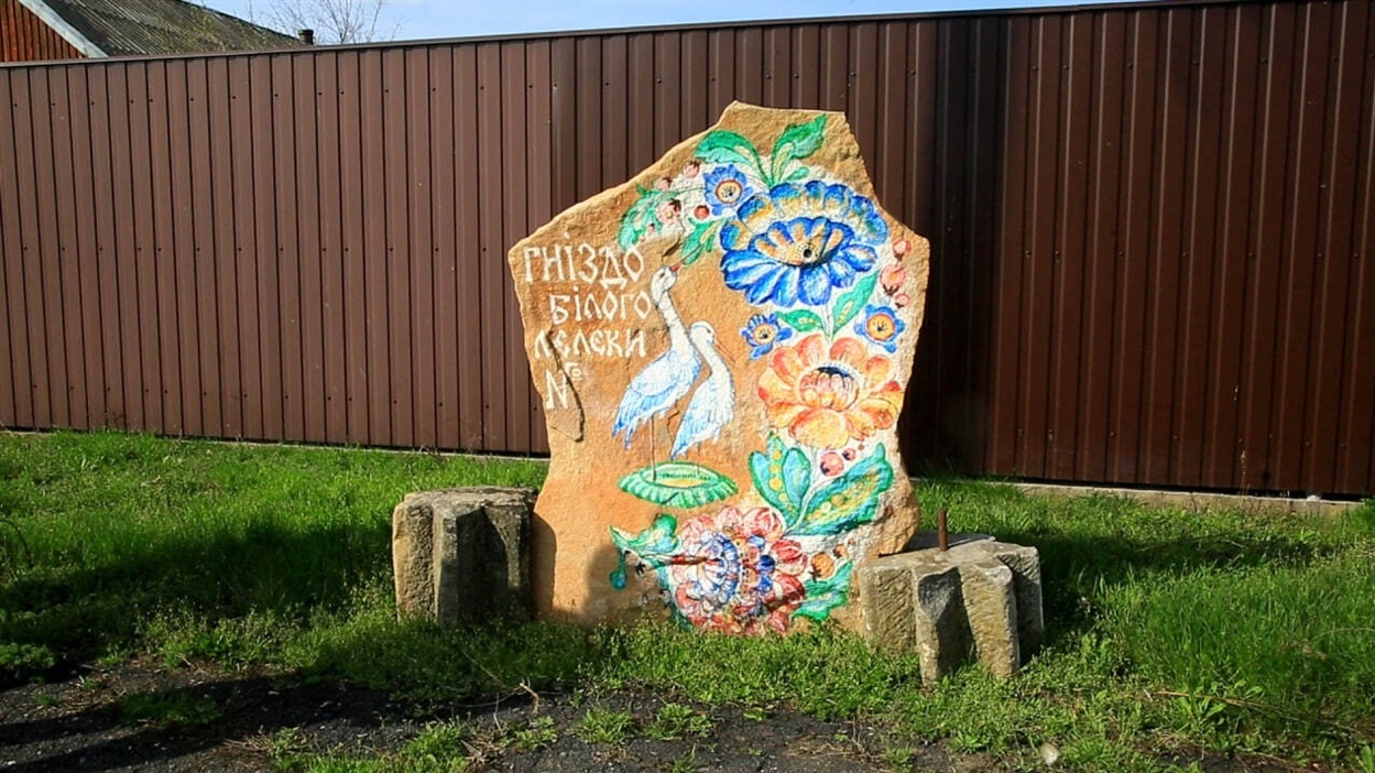 Гніздо білого лелеки