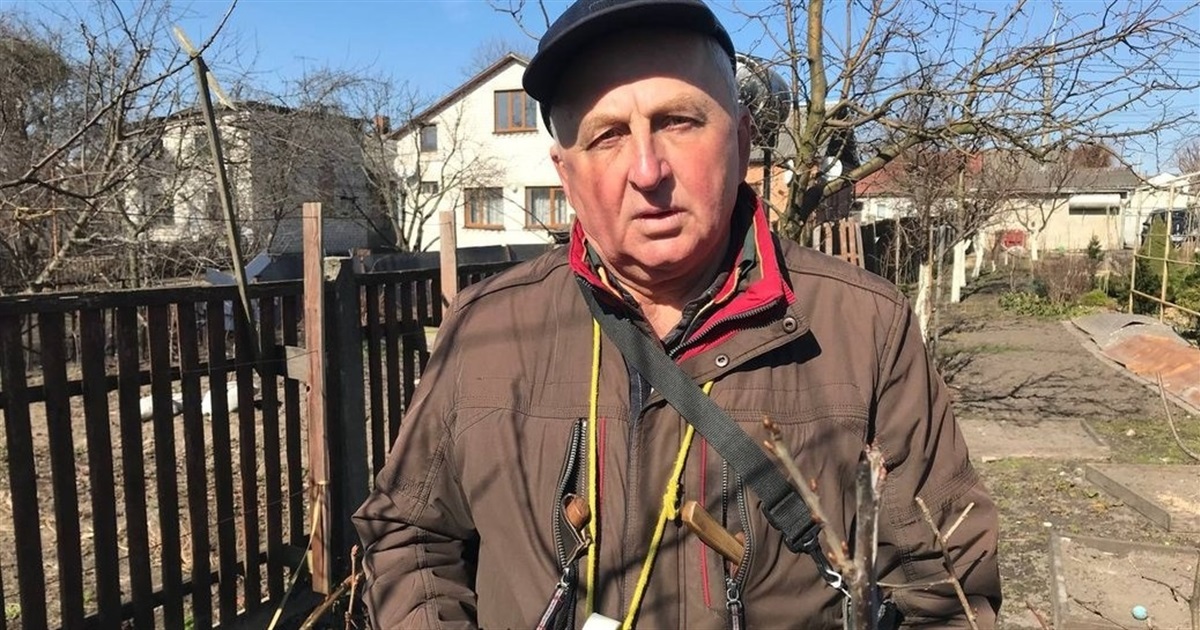 Як правильно щеплювати плодові дерева: досвід садівника з 15-річним стажем
