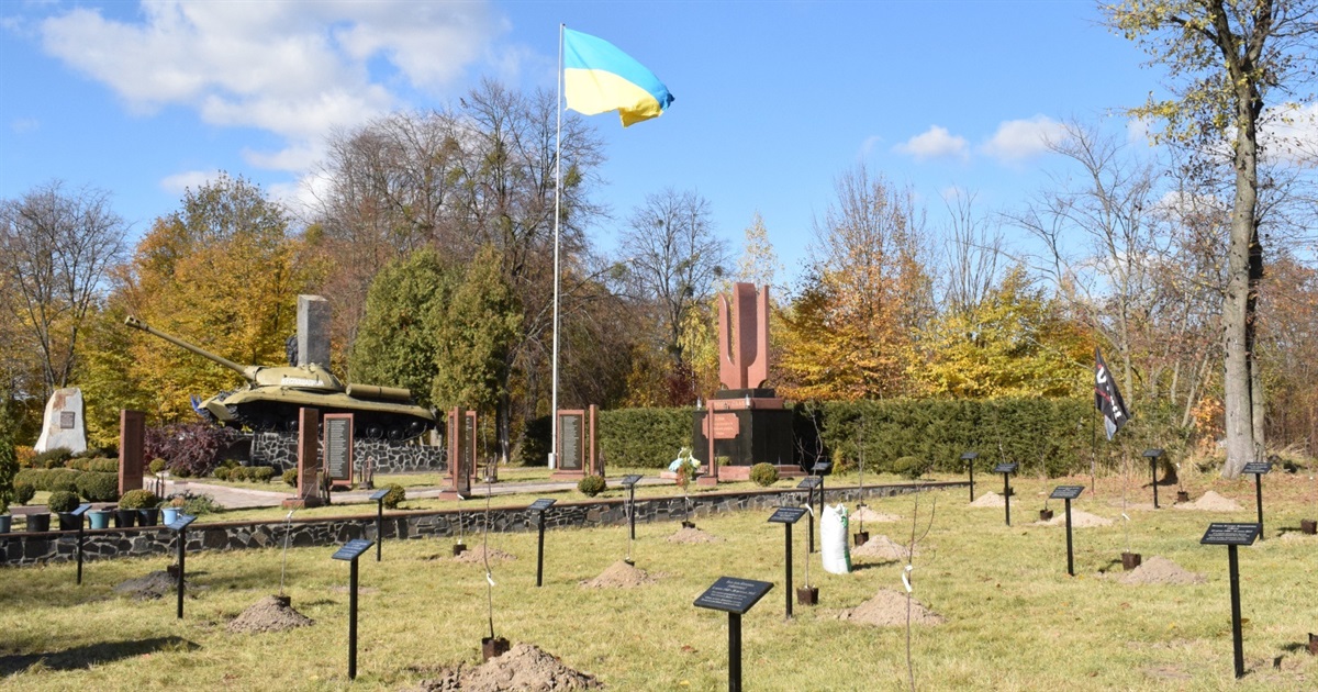 "Я розквітну весною": у Новограді висадили Алею на честь жінок, які загинули на війні