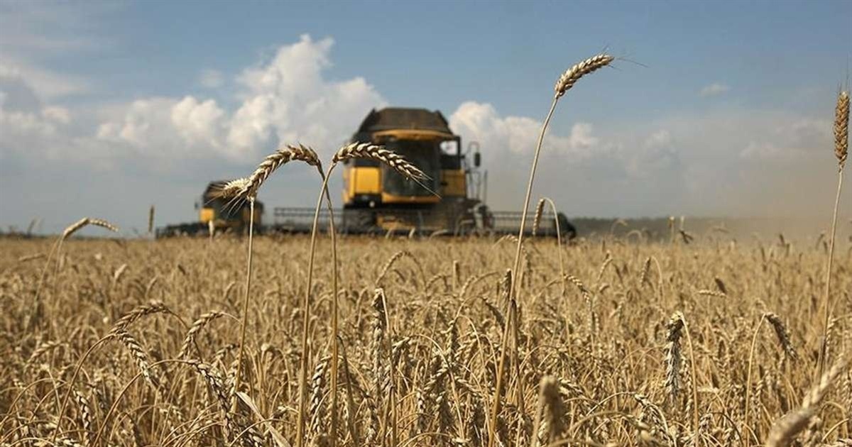 Хвала рукам, що пахнуть хлібом! Вітання до Дня працівників сільського господарства