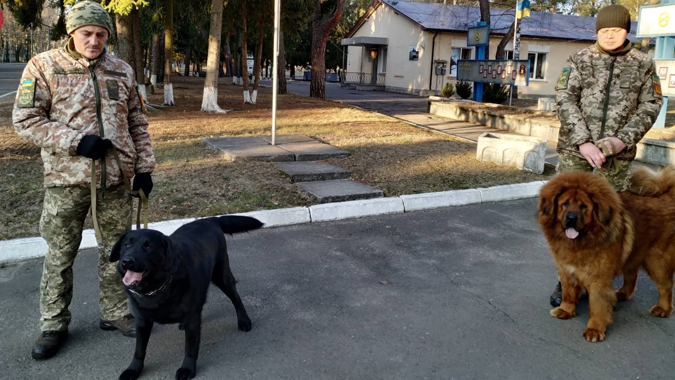 Служба в армії, а комфорт, як вдома: як проходять будні військових у Сарнах