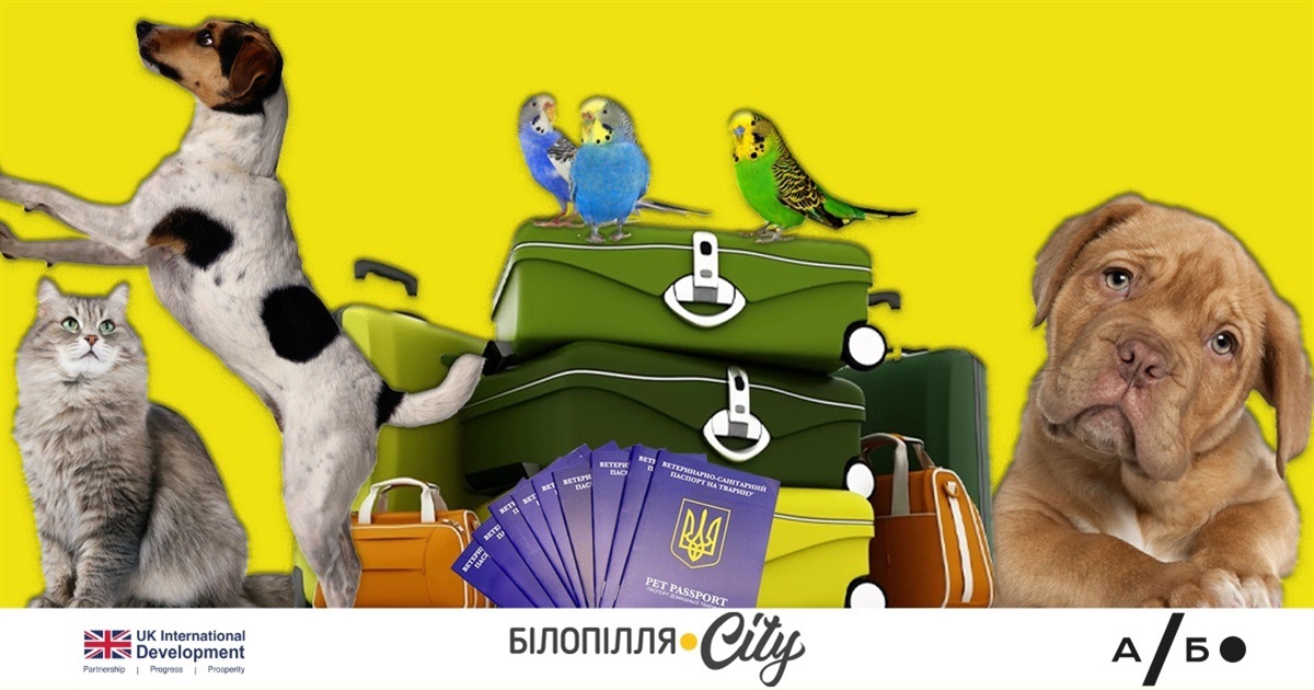 Евакуація з тваринами: як підготувати улюбленця до переїзду