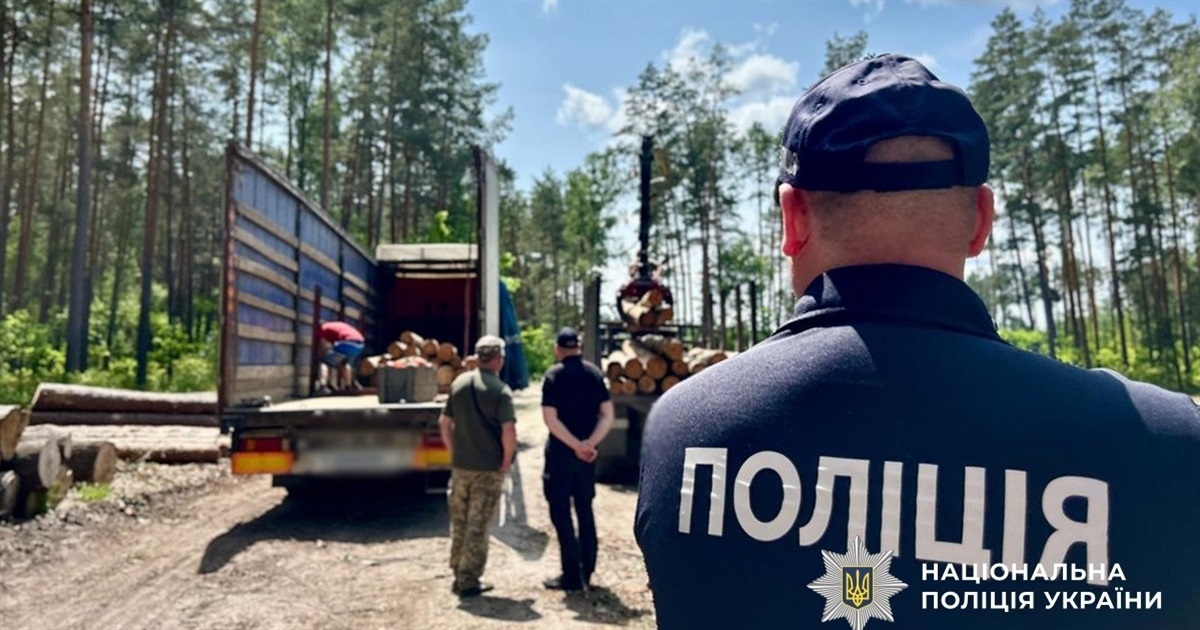 Звягельські поліцейські передали ЗСУ деревину, вилучену у порушників