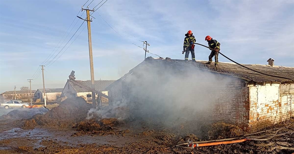 Пожежа в селі Землянка на Кагарличчині: горів свинарник