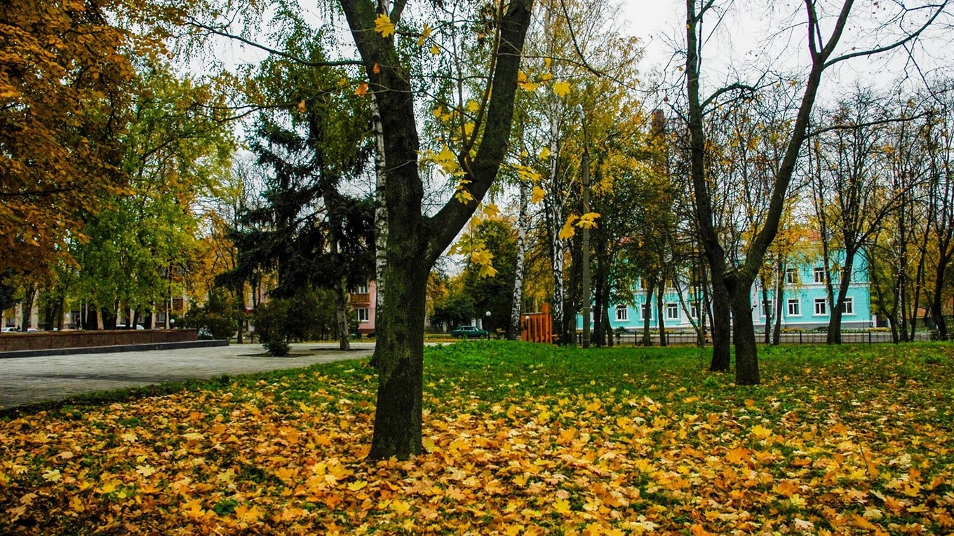 Дощі та "аномальний" холод: яку осінь прогнозують українські синоптики