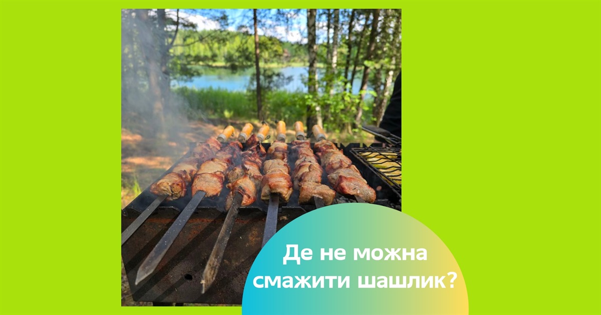 За шашлик — штраф: що потрібно знати любителям відпочинку на природі