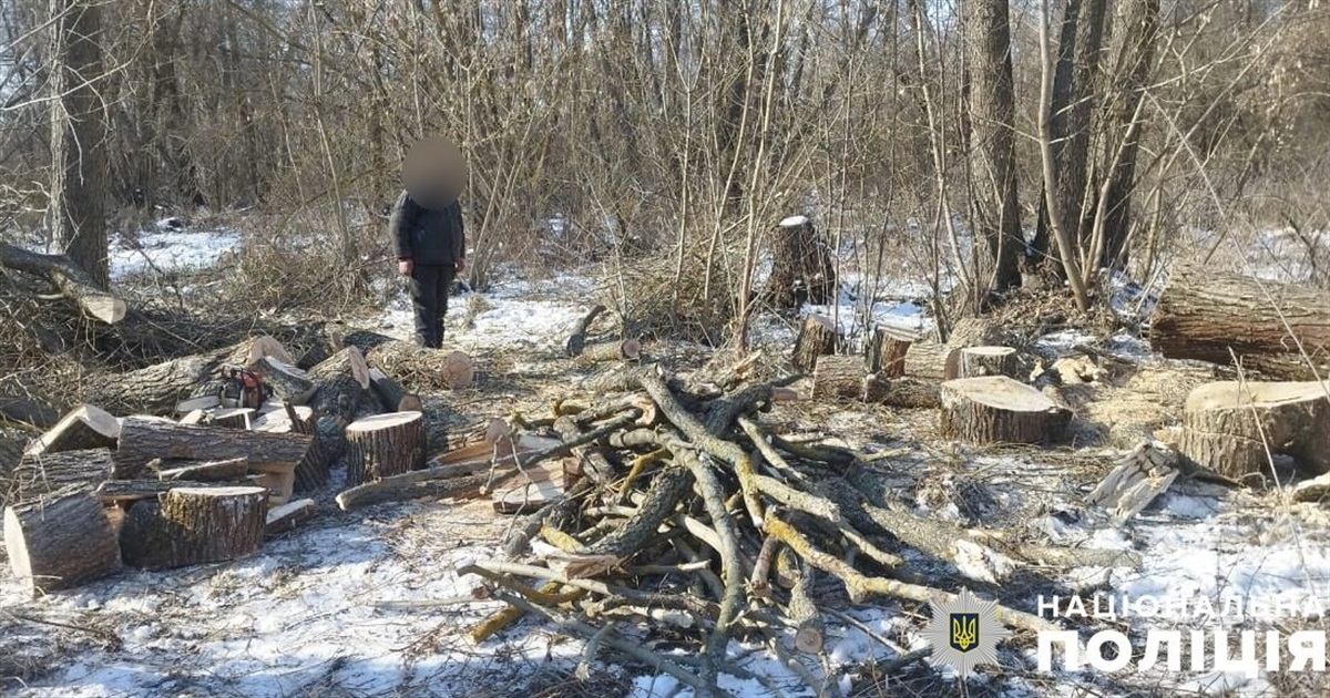 Поліція викрила чоловіка у незаконному порубі на території природо-заповідного фонду