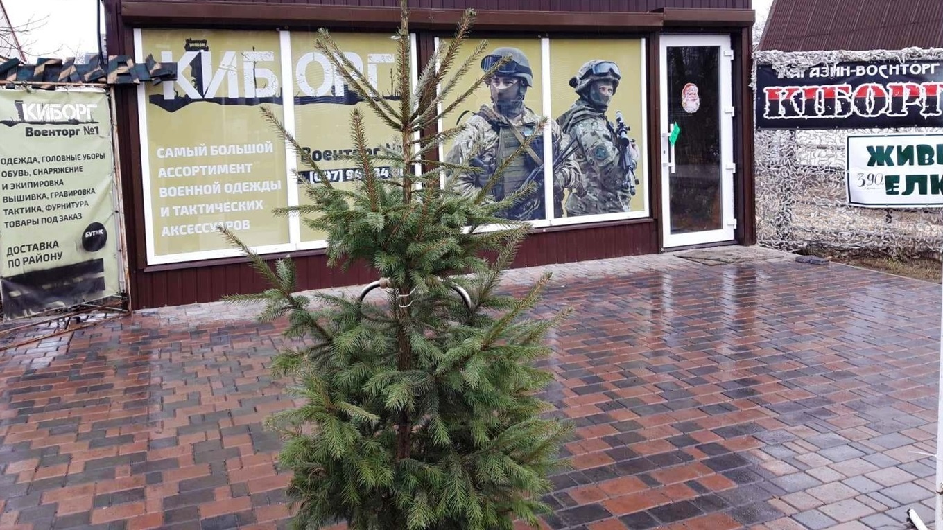 Купіть ялинку в горщику. Згодом висадіть її на ділянці, або у волноваському парку
