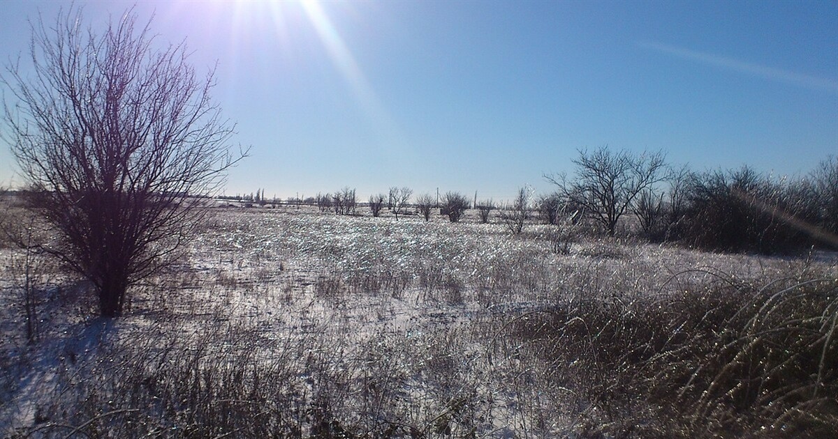 Туманно та без опадів: прогноз погоди на найближчі дні