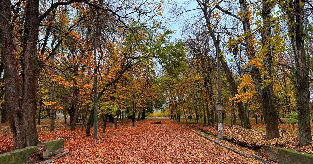 Осіння магія Молодіжного парку в Первомайську: фотоальбом