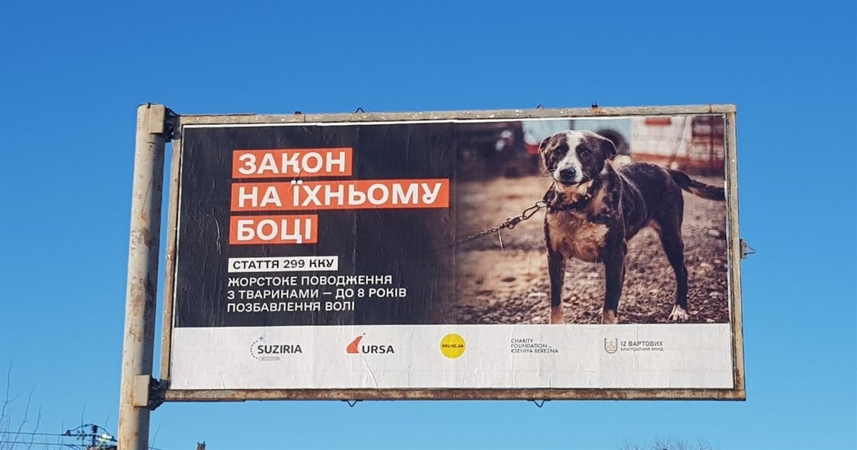 Врятована рись, бумеранг добра для переселенки: організація URSA про досвід захисту прав тварин