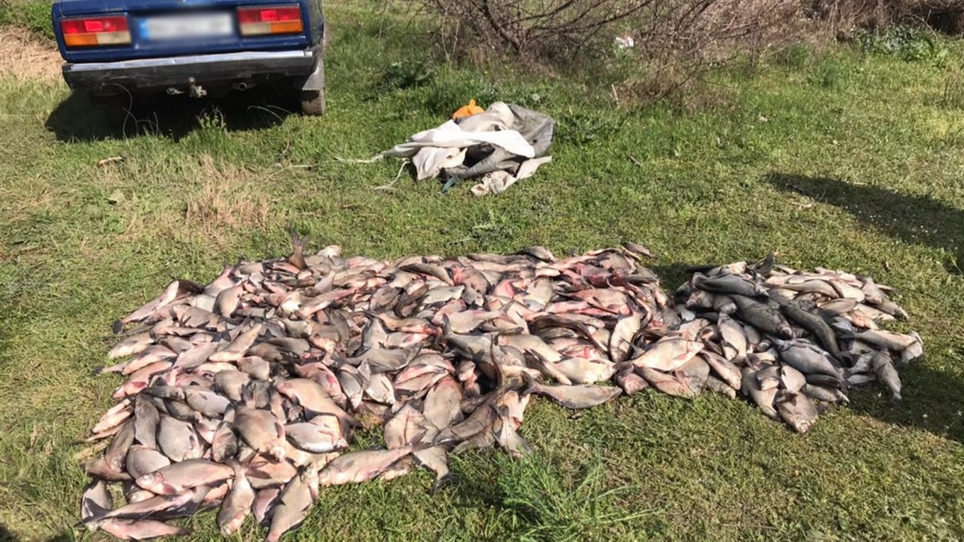 Пограничники поймали на горячем браконьеров, чем незаконный улов оценивается в 100 тысяч гривен