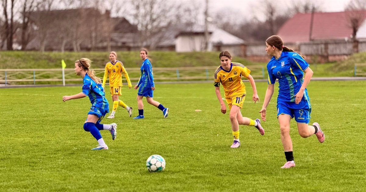 Турнір пам'яті Максима Левковського: перехідний кубок залишився у Звягелі