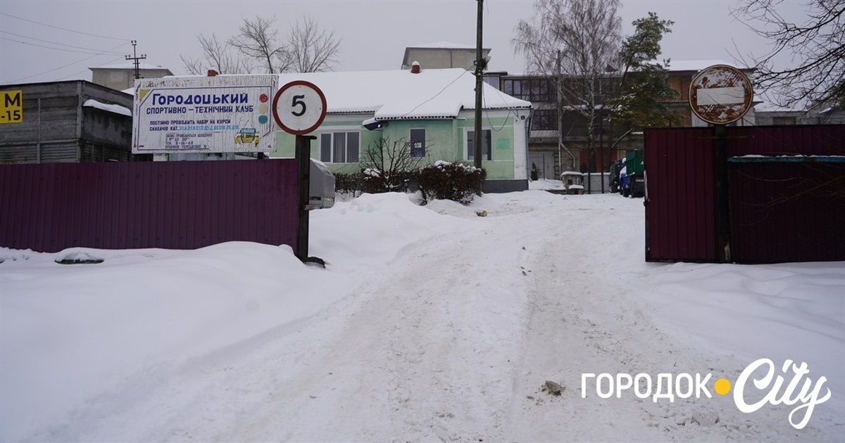 Лисиці в Городку: мешканці повідомляють про небезпечне сусідство у центрі міста