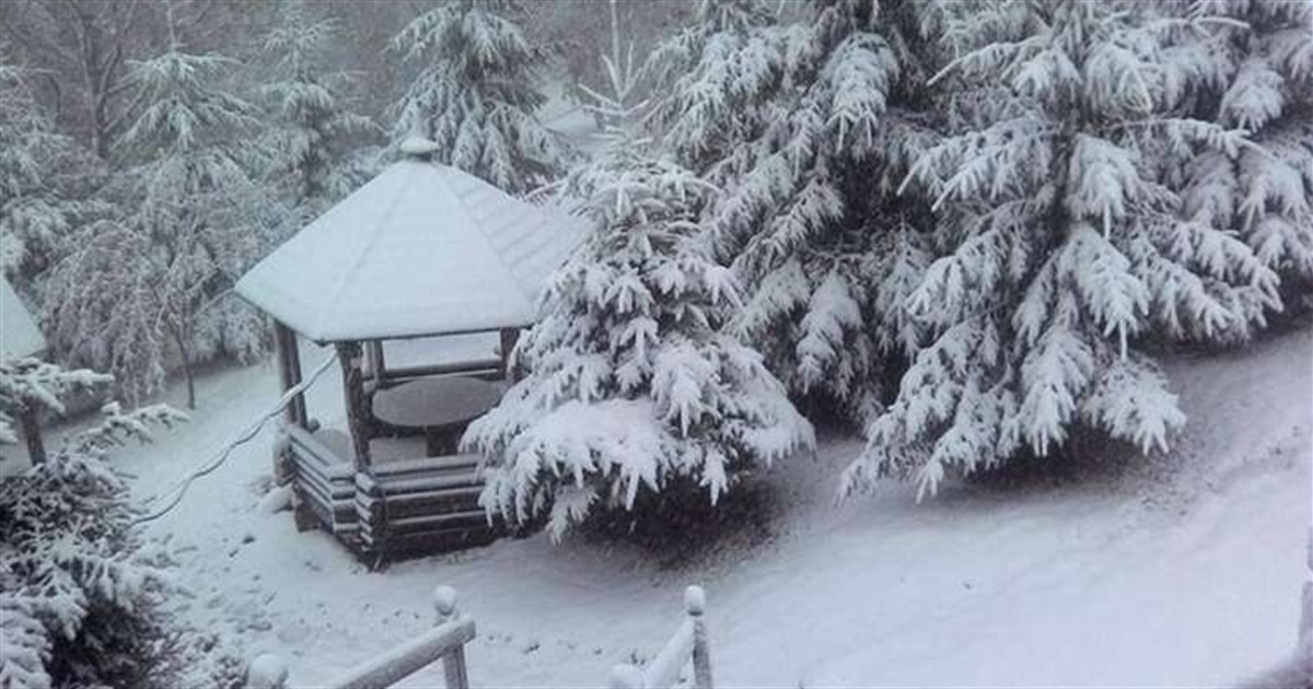 Буковель засипало снігом: вражаючі кадри зимової казки. Оголошено жовтий рівень небезпеки