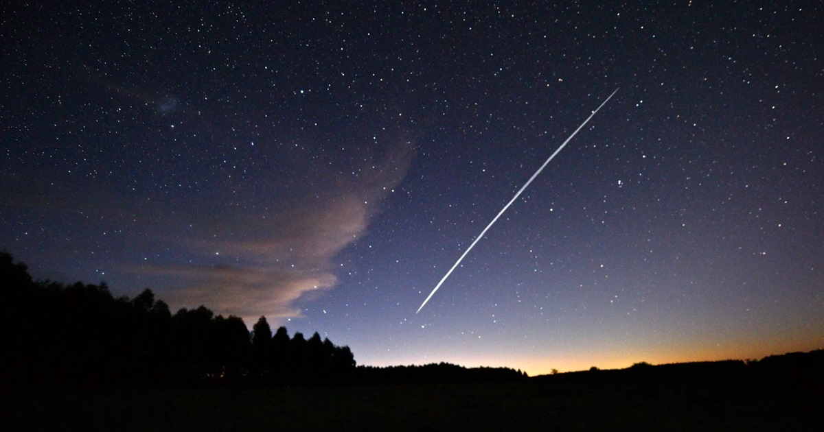 Співробітник фсб вербував мешканку Житомирщини зареєструвати в ЦНАПі на себе Старлінк