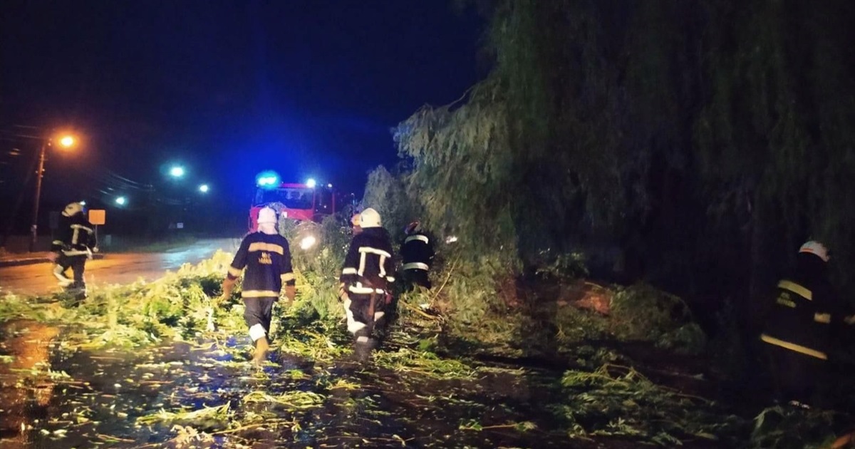 Негода на Житомирщині: за минулу добу рятувальники 9 разів ліквідовували наслідки стихії