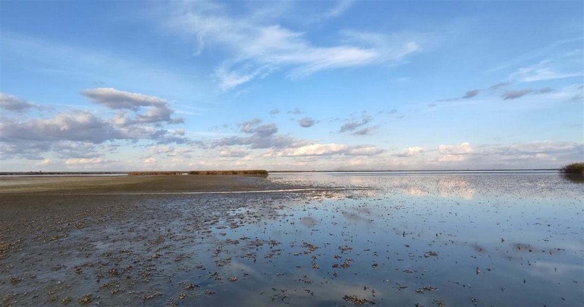 Завершен предпоследний этап в процессе восстановления водотока на Придунайских озерах