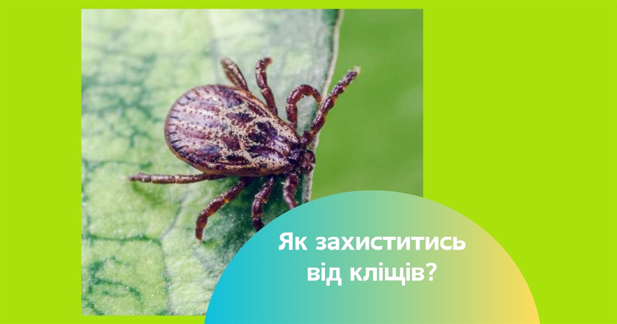 Весна, тепло, відпочинок на природі і… кліщі. Як від них захиститися?
